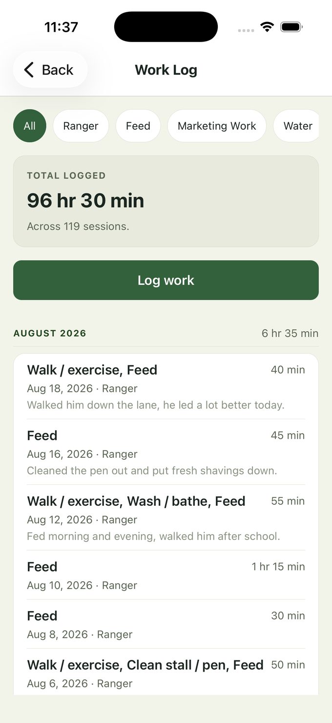 The work log screen showing 96 hours 30 minutes logged across 119 sessions