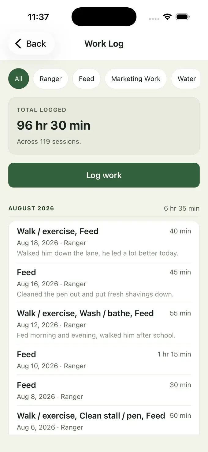 The work log screen showing 96 hours 30 minutes logged across 119 sessions