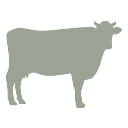 Dairy cattle silhouette