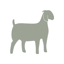 Goat silhouette