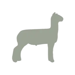 Lamb silhouette