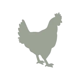 Poultry silhouette