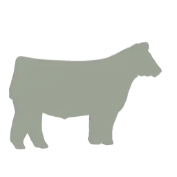 Steer silhouette
