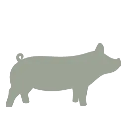 Swine silhouette